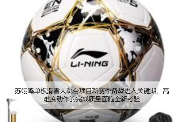 苏翊鸣单板滑雪大跳台项目新赛季备战进入关键期，高难度动作的完成质量面临全新考验